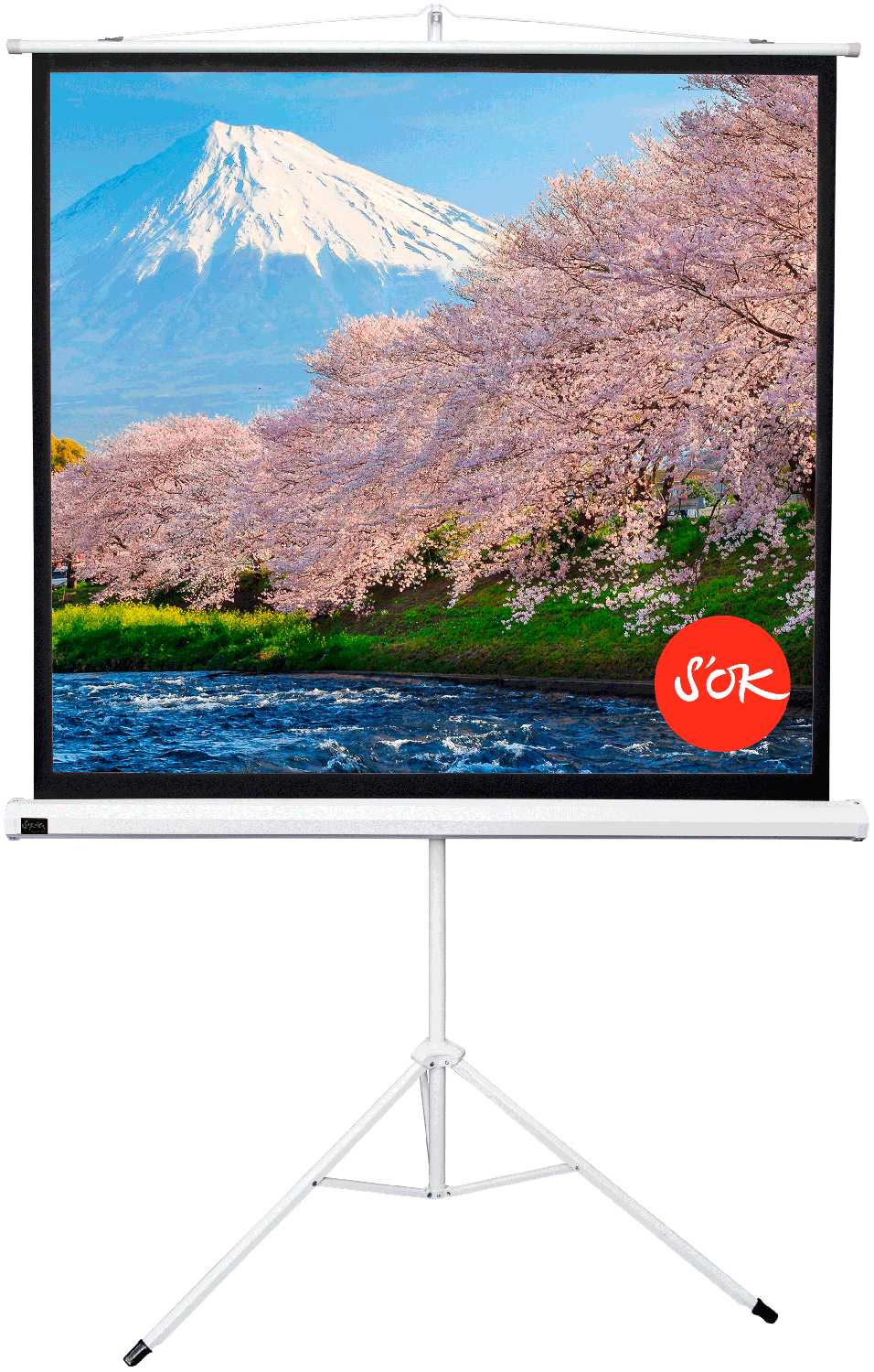 Экран для проектора S'OK SCPST-180x180BLCK (100