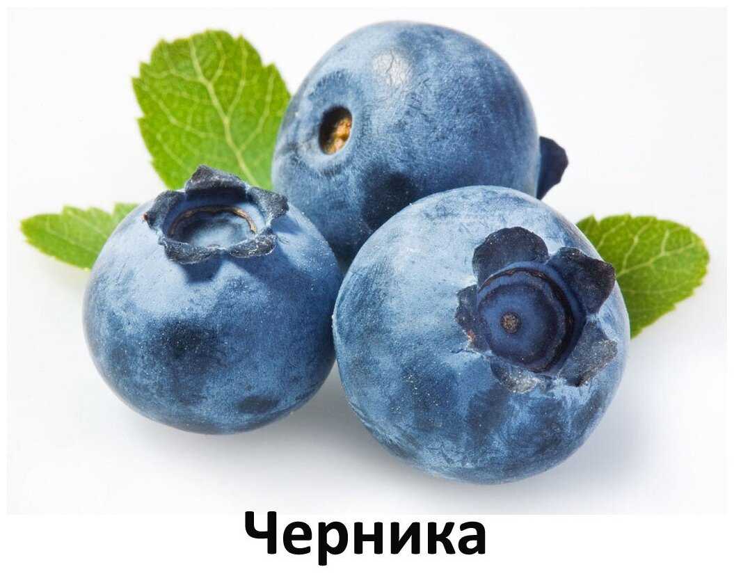 Корм для собак Farmina N&D Ocean (треска, со спельтой, с овсом, c апельсином) фотография 14