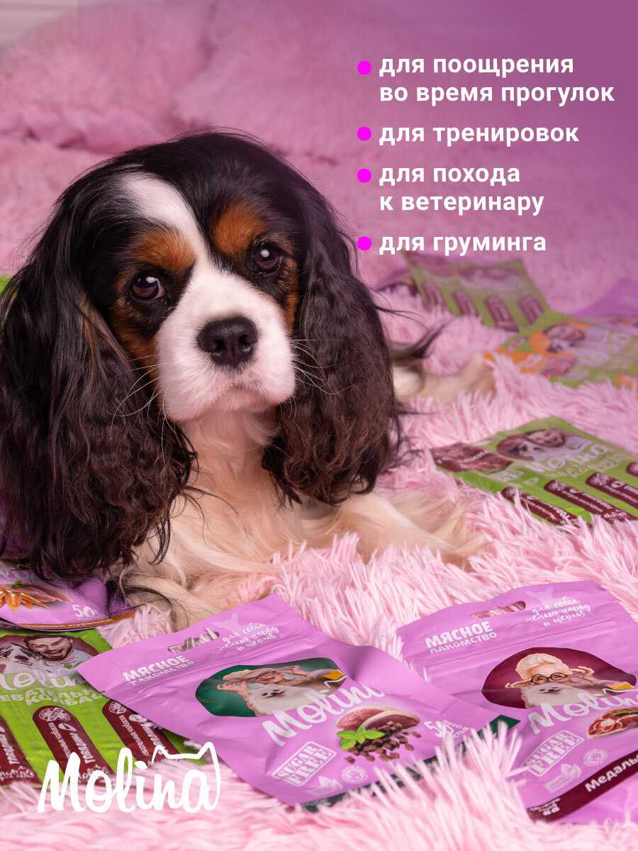 Лакомство для собак Molina Куриный хворост фотография 7