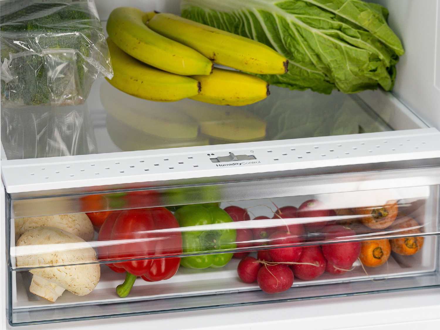 Встраиваемый холодильник GARTZ RBS210W SmartCool фотография 21