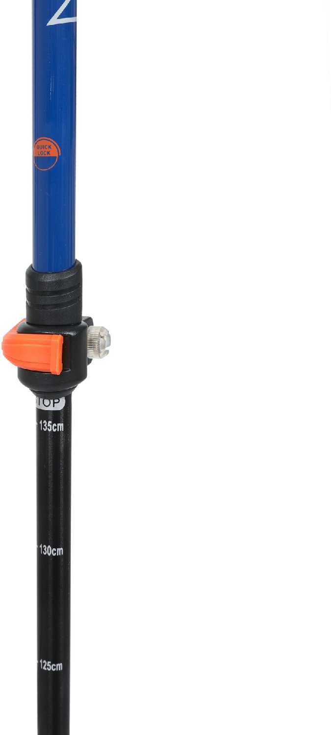 Палка для скандинавской ходьбы Ternua Walking Pole (2640024) фотография 1