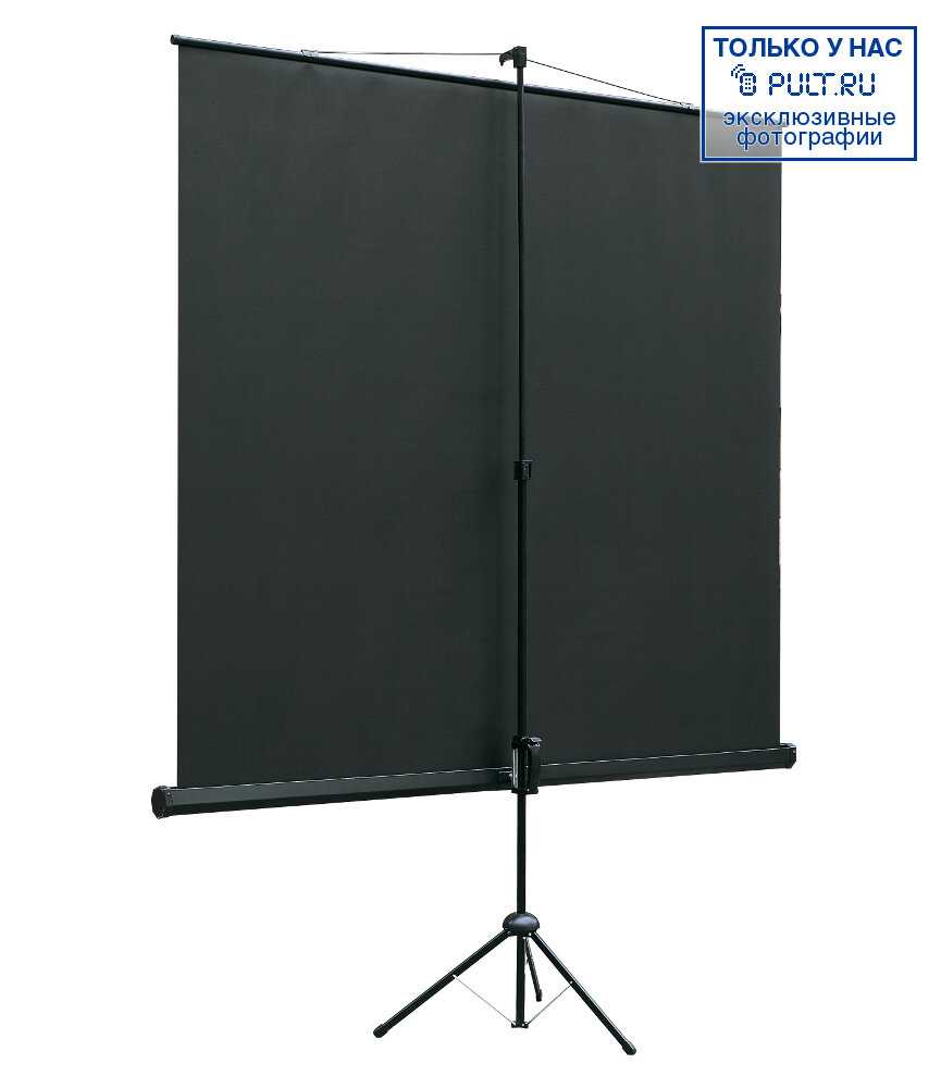 Напольный экран Lumien Eco View (1:1) фотография 2