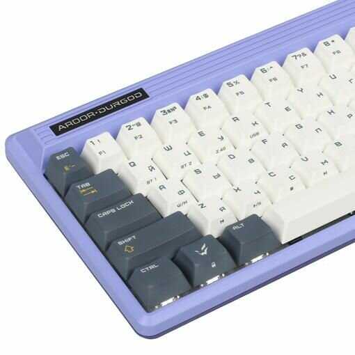 Клавиатура ARDOR GAMING x DURGOD Space Fusion (AG-DU-FN68KTY-P) фотография 3