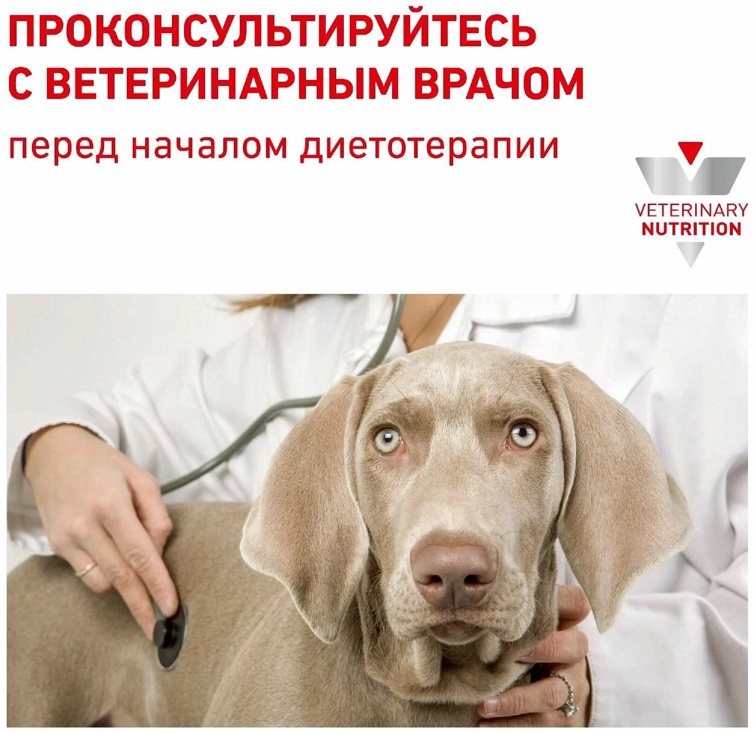 Корм для собак Royal Canin Recovery фотография 17