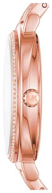 Наручные часы MICHAEL KORS MK3643 фотография 2