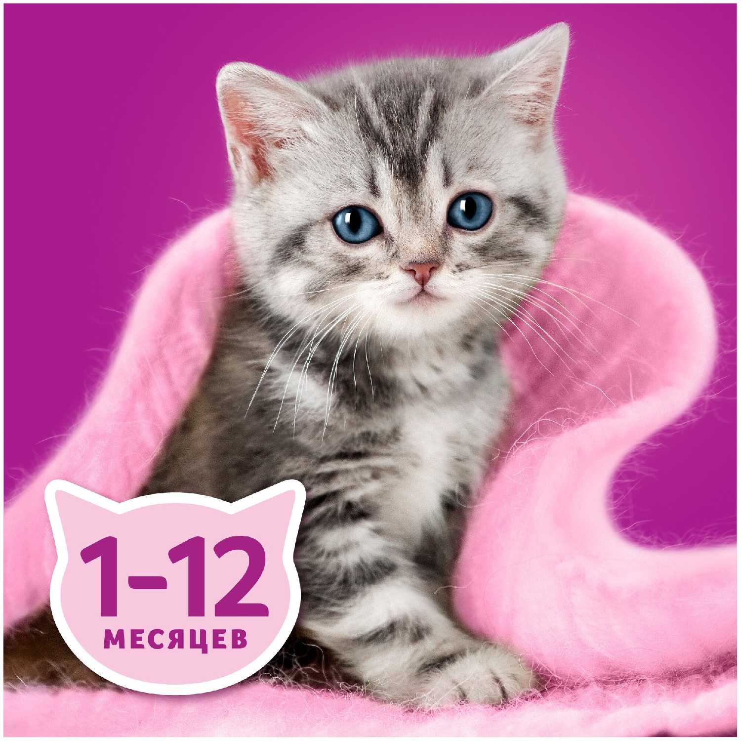 Корм для котят Whiskas беззерновой (мусс) фотография 4
