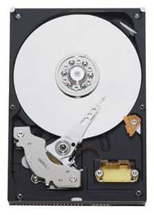 Жесткий диск Western Digital WD Blue 250 ГБ WD2500AAJB