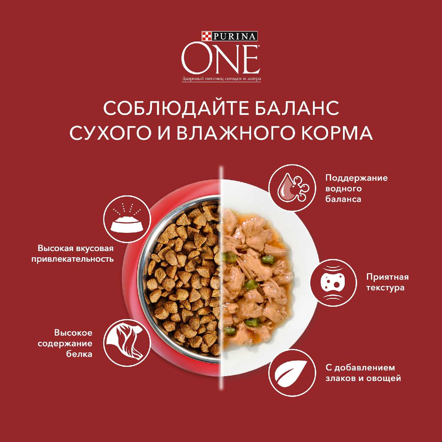 Корм для собак Purina ONE Мини Чувствительная фотография 16
