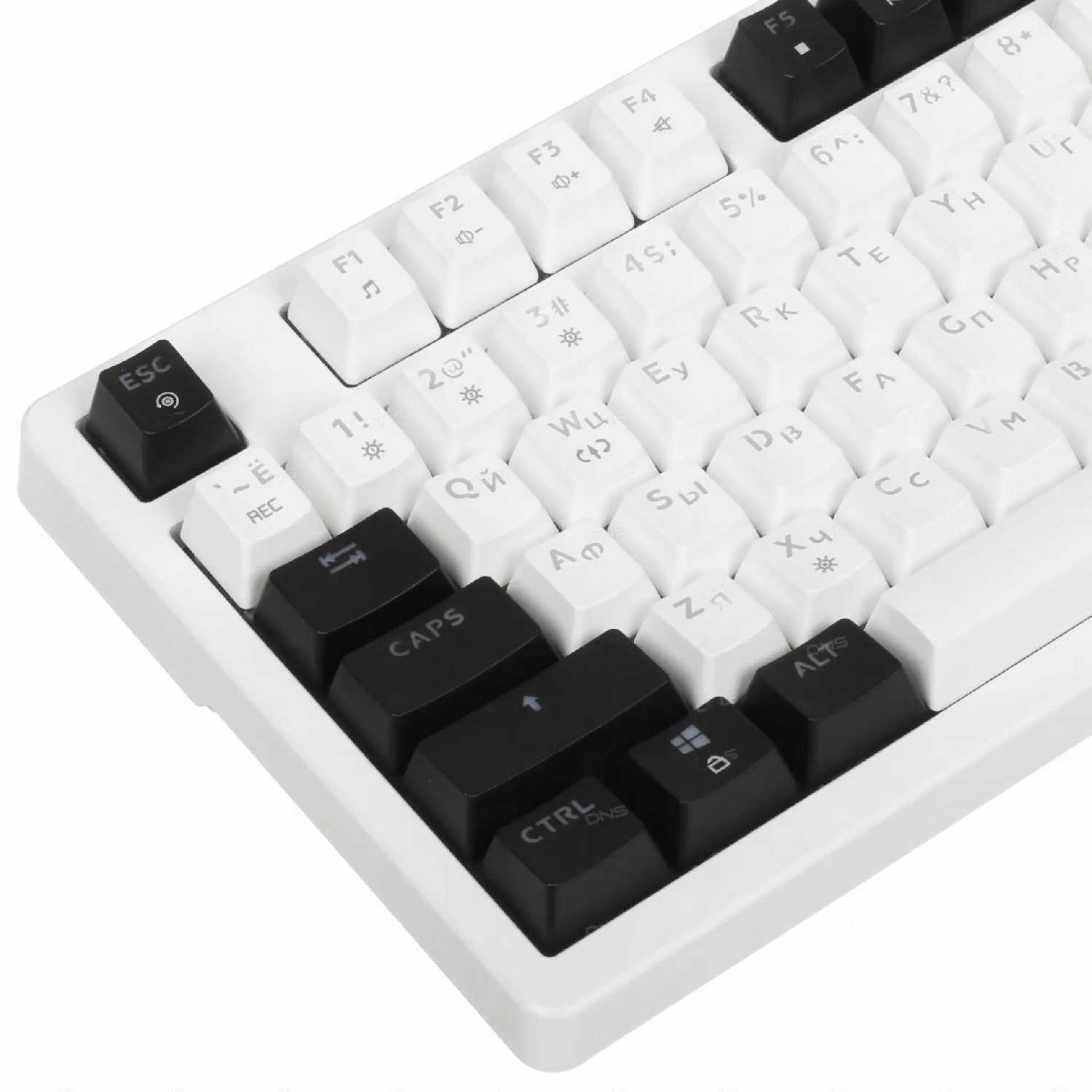 Игровая клавиатура TechFurn Jagg (83 клавиши) фотография 5