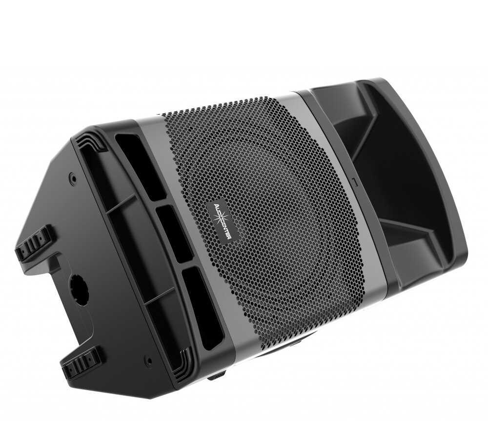 Акустическая система Audiocenter MA12 (1600 Вт) фотография 1