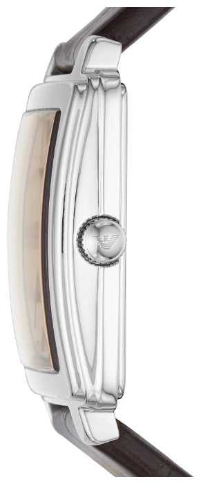 Наручные часы EMPORIO ARMANI AR11098 фотография 2