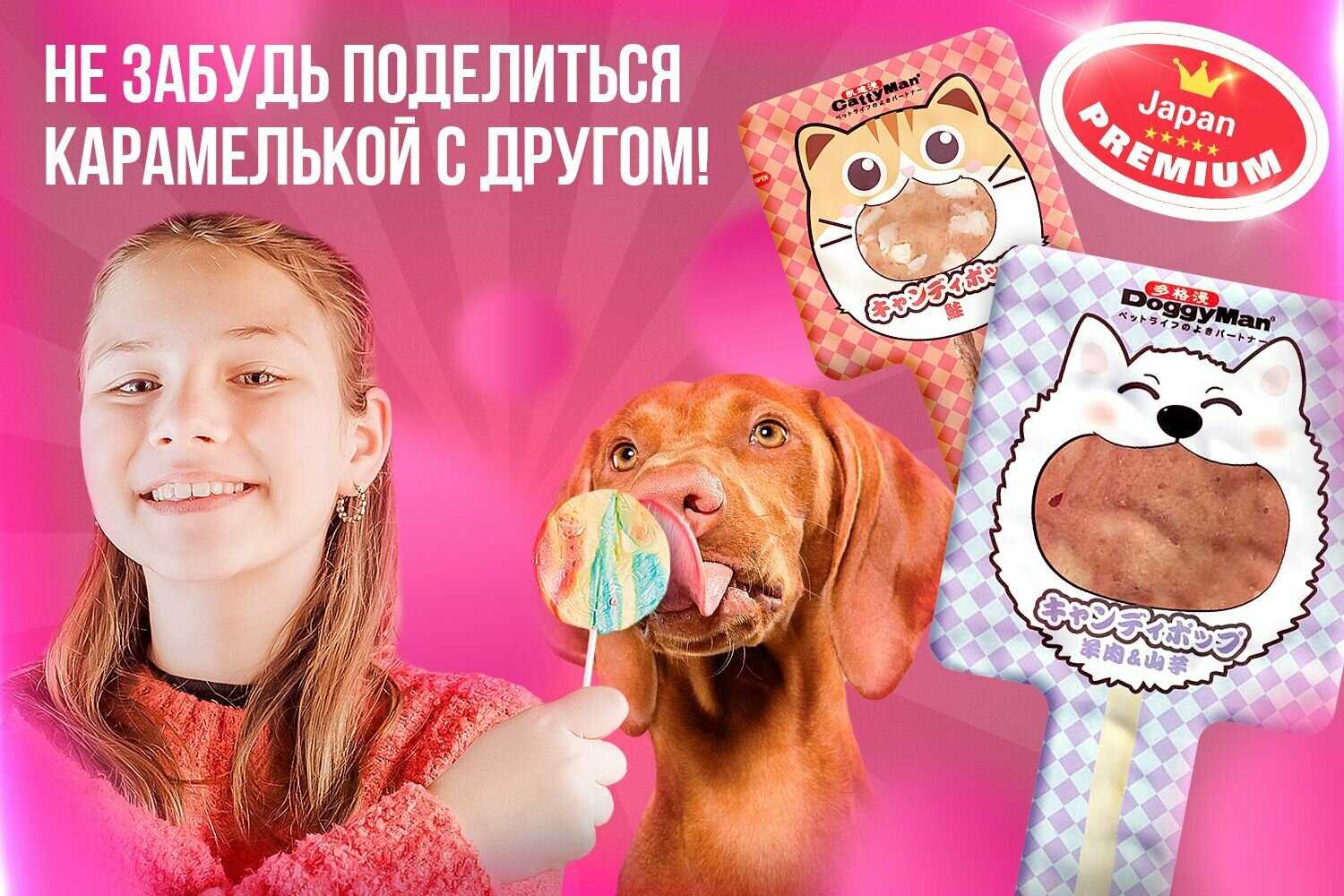 Лакомство для кошек Japan Premium Pet Тунцовая карамелька на палочке с крабом фотография 14