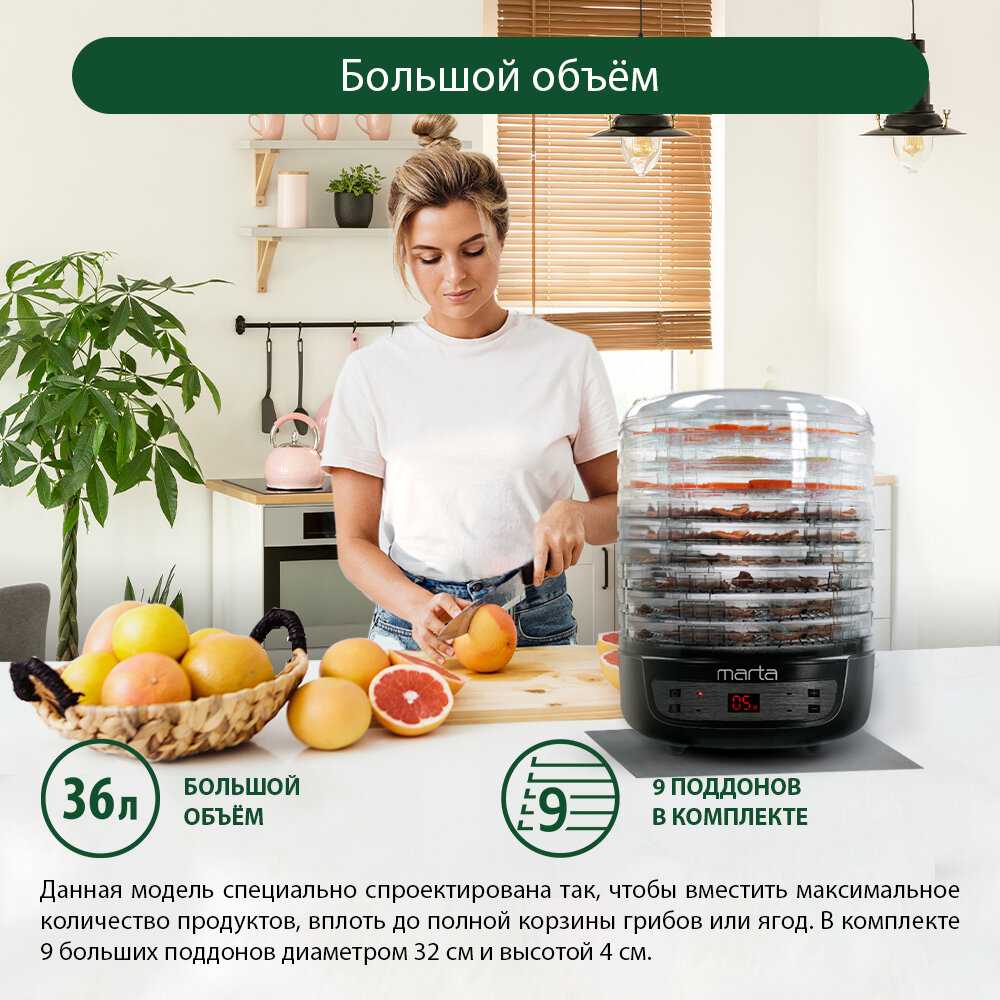 Сушилка MARTA MFD-8209PS (11 поддонов) фотография 1