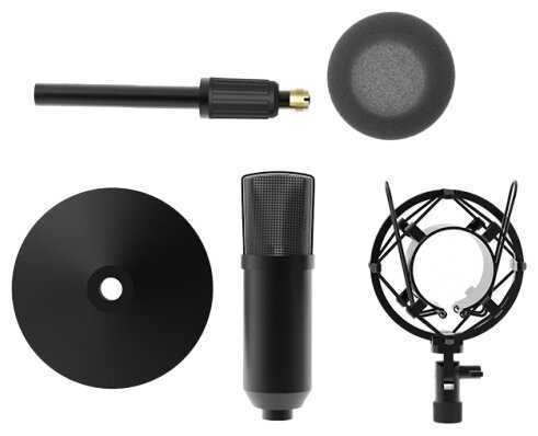 Микрофон проводной Ritmix RDM-175, разъем: mini jack 3.5 mm фотография 2