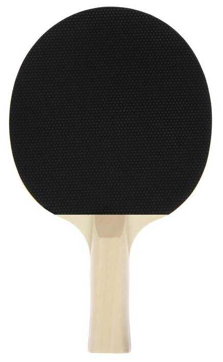 Ракетка для настольного тенниса Start Line Home анатомическая фотография 2