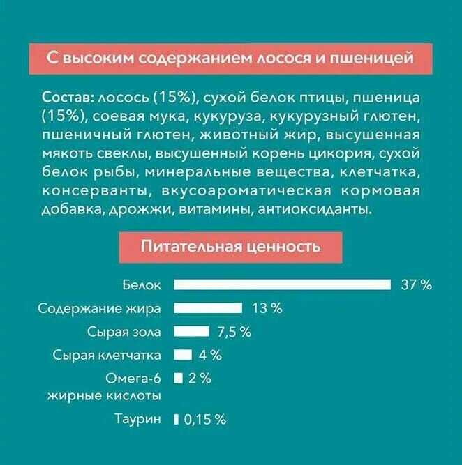 Корм Purina ONE с высоким содержанием лосося и пшеницы фотография 8