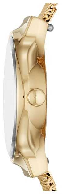 Наручные часы SKAGEN SKW2717 фотография 2