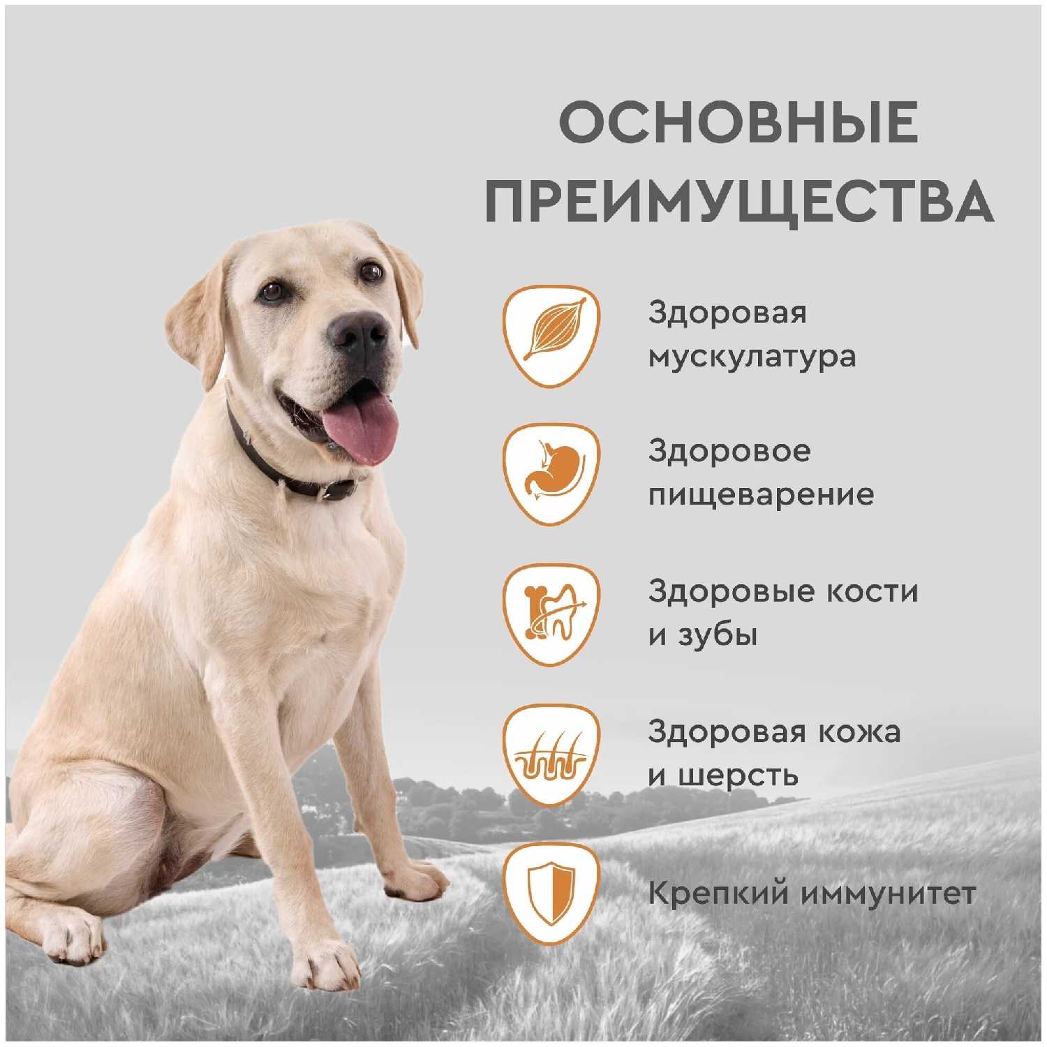 Корм для собак Secret for Pets Life Force (говядина) фотография 14
