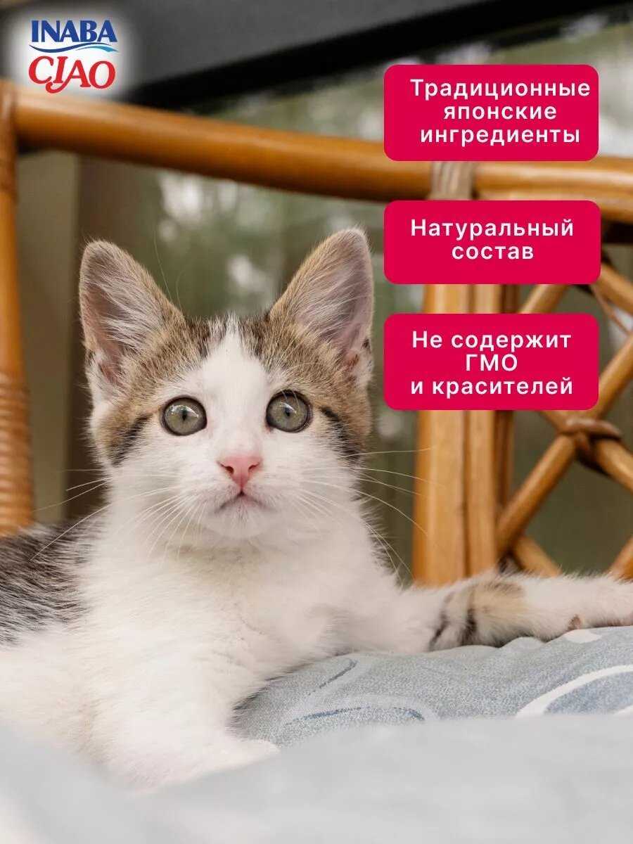 Лакомство-пюре для кошек Inaba Ciao Churu Куриное филе и креветка фотография 8