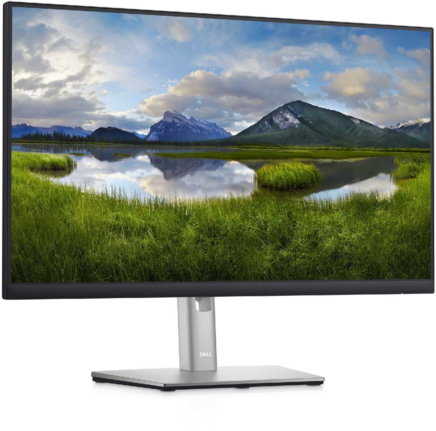 Монитор DELL P2422HE (2422-5205) фотография 3