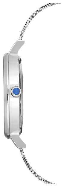 Наручные часы ANNE KLEIN 2989SVSV фотография 1
