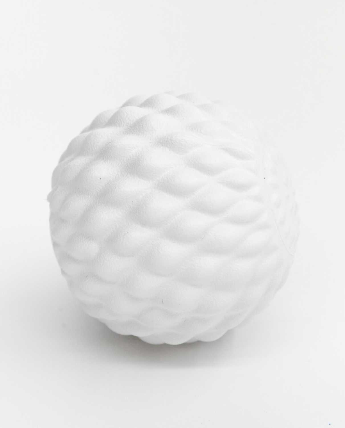 Массажный мяч BLOOM Массажный мяч (LB7024) фотография 2