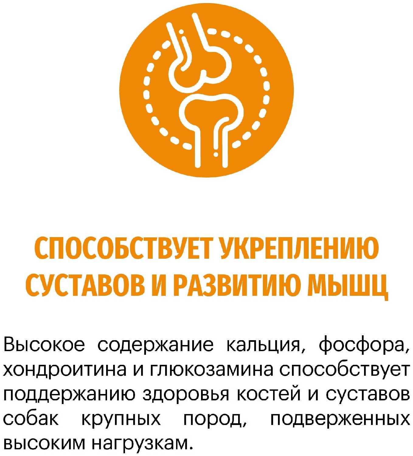 Корм для собак Karmy Active (индейка) фотография 6