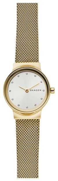 Наручные часы SKAGEN SKW2717