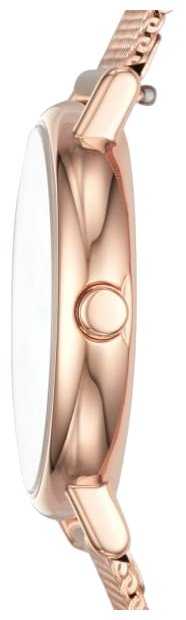 Наручные часы SKAGEN SKW2694 фотография 2