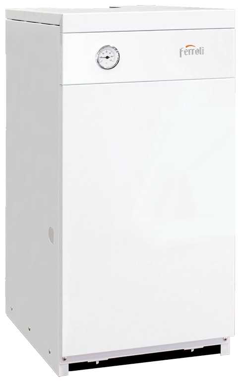 Газовый котел Ferroli Torino 25 одноконтурный фотография 4
