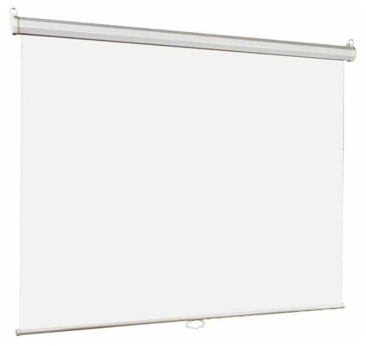 Экран для проектора Lumien Eco Picture LEP-100119 фотография 8