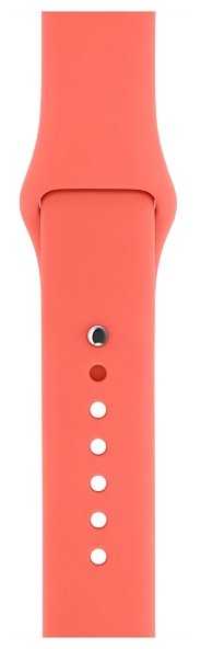 Умные часы Apple Watch Sport 42мм with Sport Band фотография 14