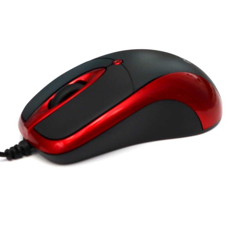 ORION фотография 14