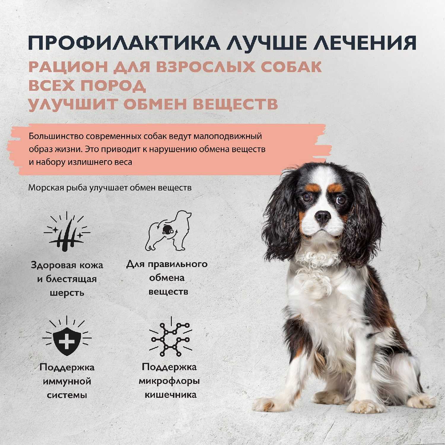 Корм для взрослых собак Brit Premium (курица) фотография 1