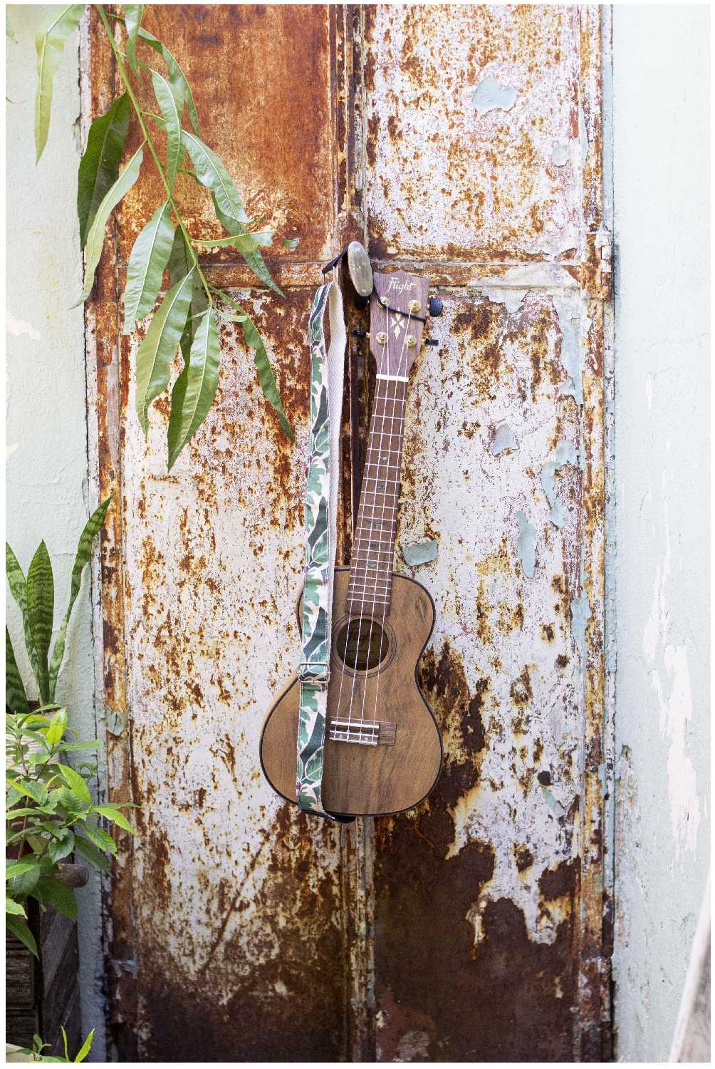 FLIGHT DUC430 DAO Укулеле концерт фотография 6