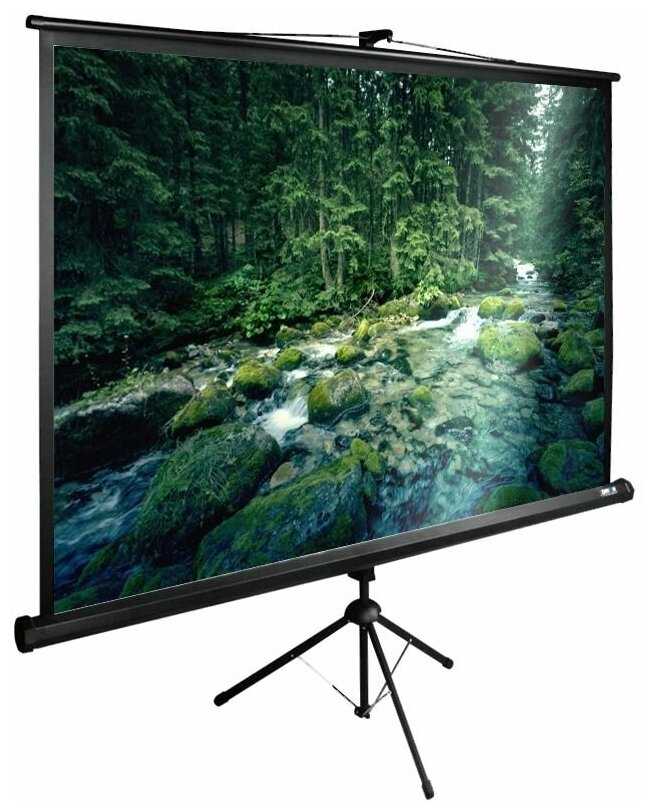 Экран Cactus 165x220см TriExpert 4:3 напольный рулонный черный CS-PSTE-220X165-BK фотография 2
