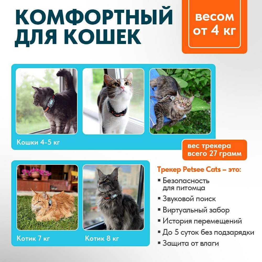GPS трекер Petsee Petsee 4G Dogs фотография 22