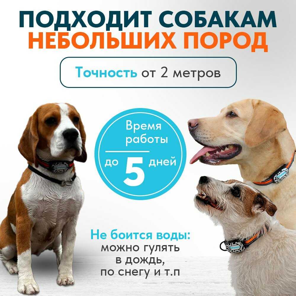 GPS трекер Petsee Petsee 4G Dogs фотография 23