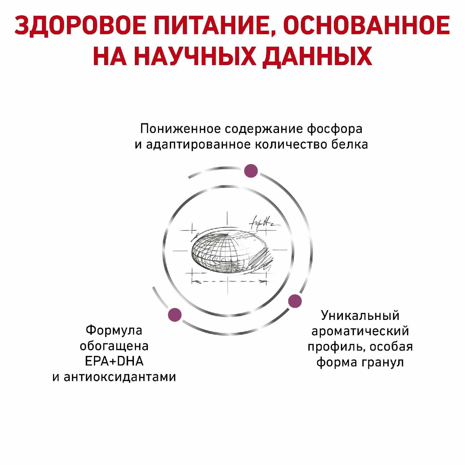 Сухой корм Royal Canin Renal Feline фотография 3