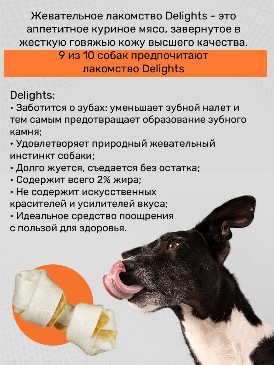Лакомство для собак 8 In 1 Delights Косточки XS (7.5 см) фотография 17