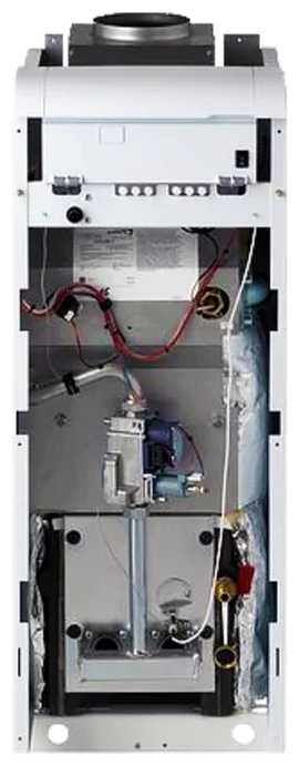 Конвекционный газовый котел Protherm Медведь 40 KLOM фотография 3