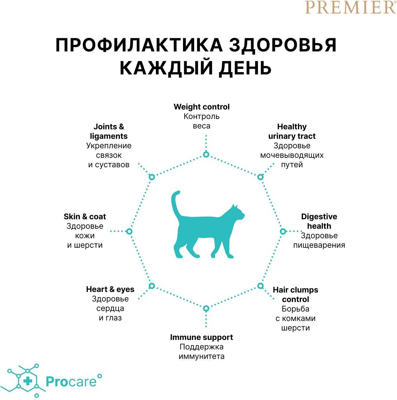 Корм Premier при чувствительном пищеварении фотография 12