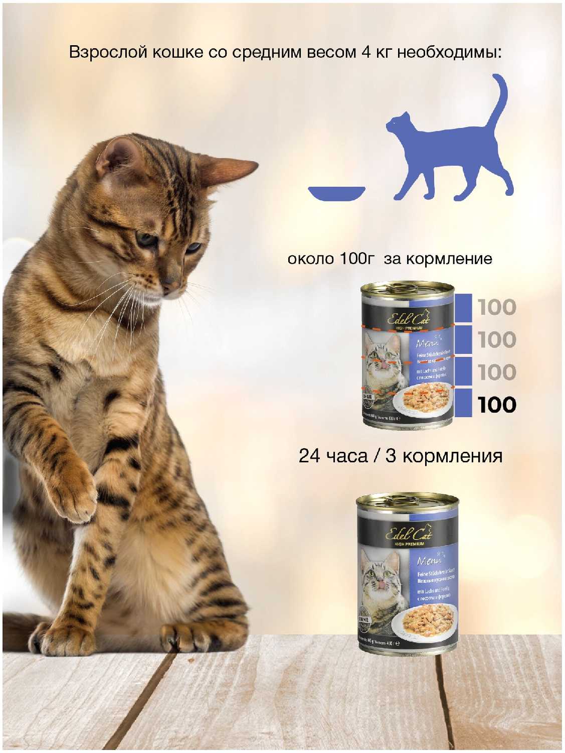 Корм для кошек Edel Cat с лососем и форелью фотография 13