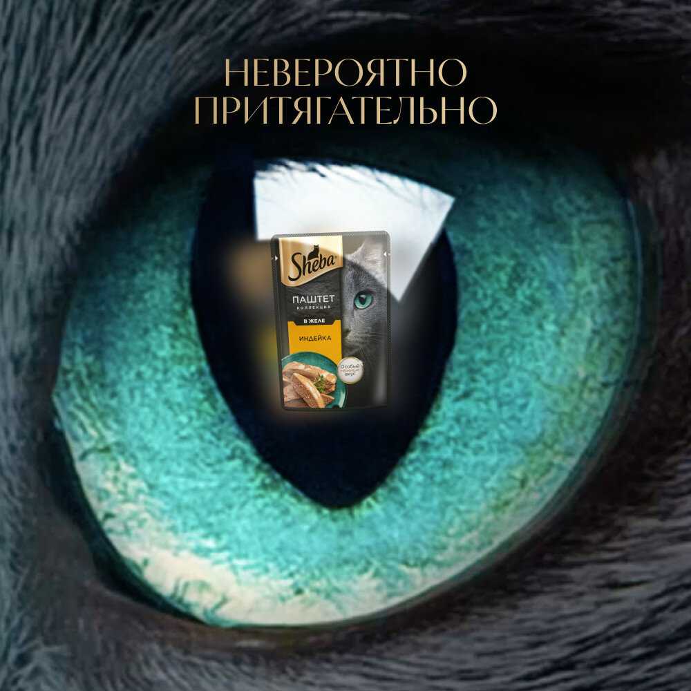 Корм для кошек Sheba Нежный паштет в желе с индейкой фотография 18