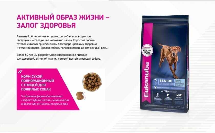 Корм для собак Eukanuba для пожилых собак фотография 11
