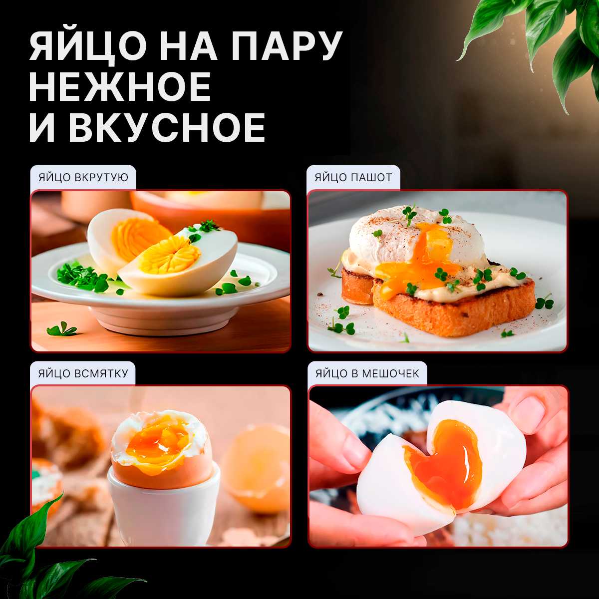 Электрическая яйцеварка PAZZL Яйцеварка фотография 13