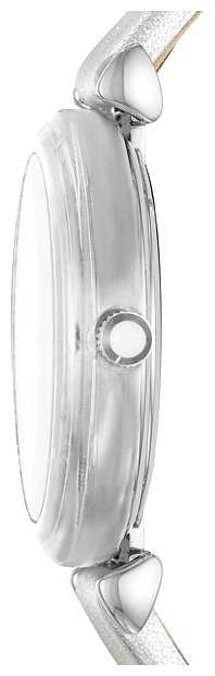 Наручные часы EMPORIO ARMANI AR11124 фотография 1