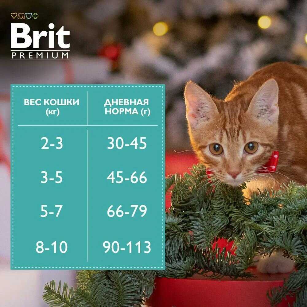 Корм для кошек Brit Premium Sensitive с ягненком и индейкой фотография 16