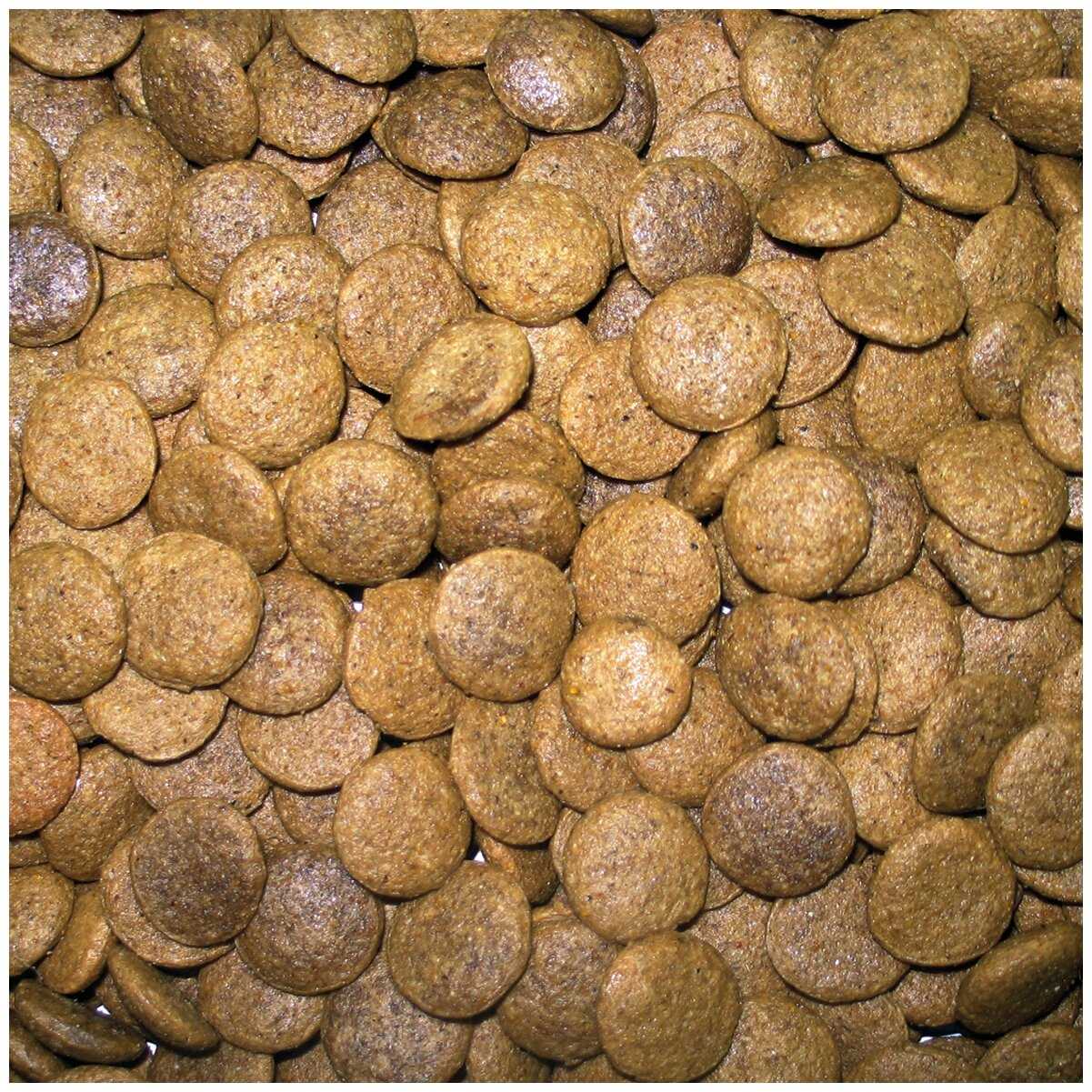 Корм для щенков Счастливчик мясное ассорти фотография 1