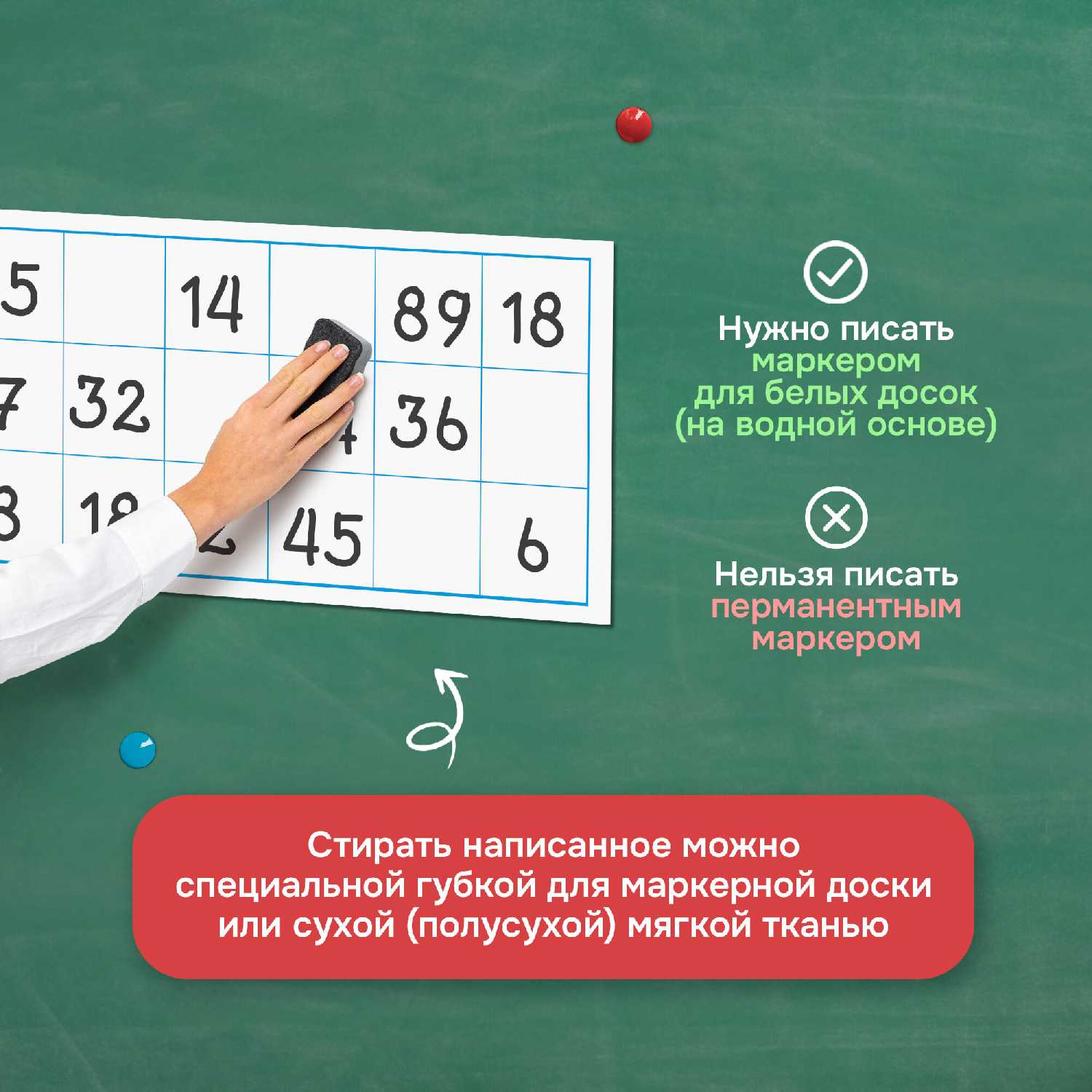 Магнитные таблички Месяцы учебного года фотография 16